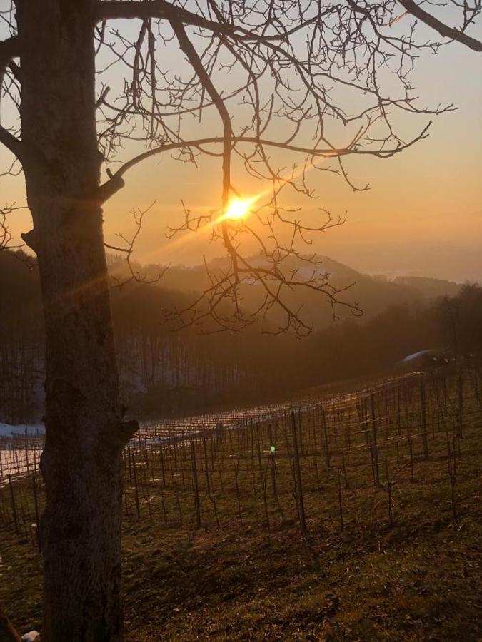 Sankt Johann im Saggautal Gaestezimmer Klopfer酒店 外观 照片