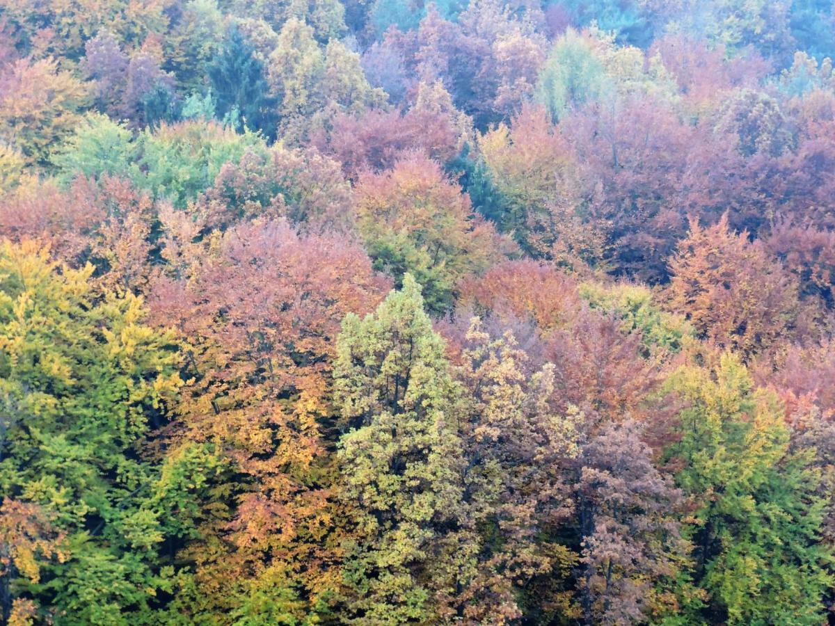 Sankt Johann im Saggautal Gaestezimmer Klopfer酒店 外观 照片