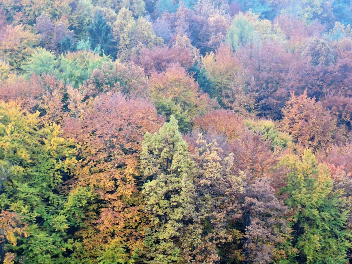 Gaestezimmer Klopfer Sankt Johann im Saggautal 外观 照片